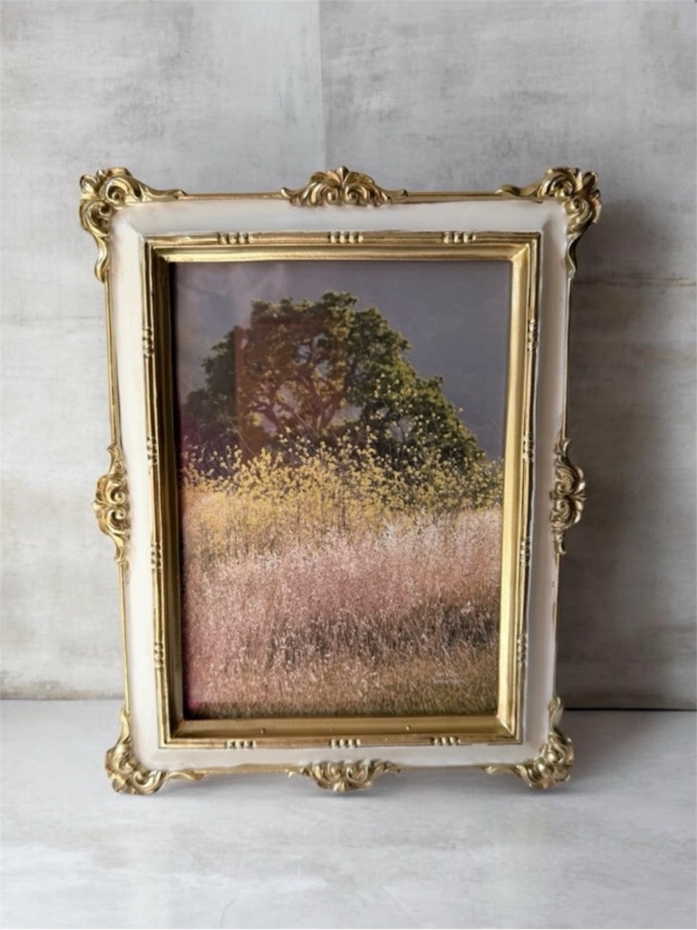 Vintage-Style Gold and Cream Ornate Photo Frame - Home Accents